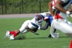 turf dirt