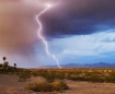 Desert Storm at S...