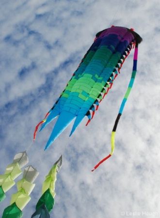 Giant Kites