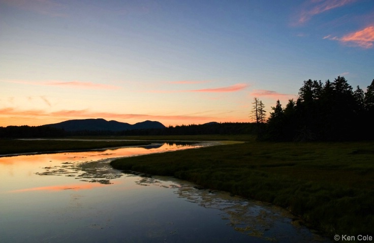 Marsh Sunset