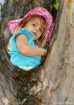 Up In The Tree