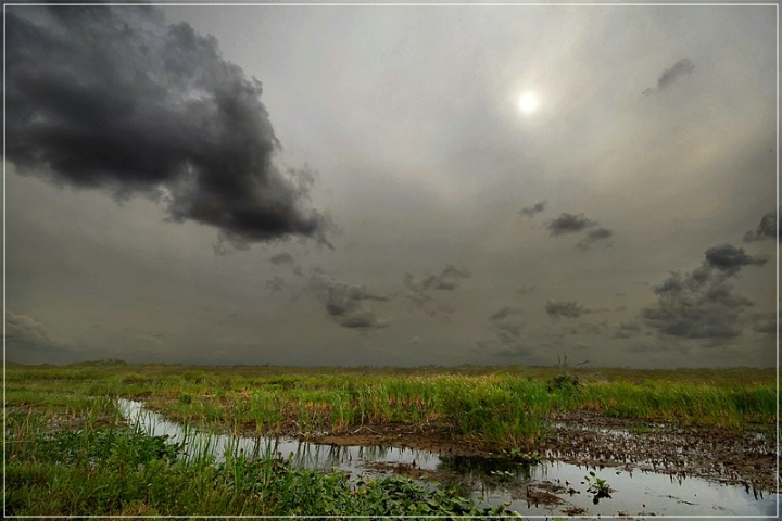 Everglades