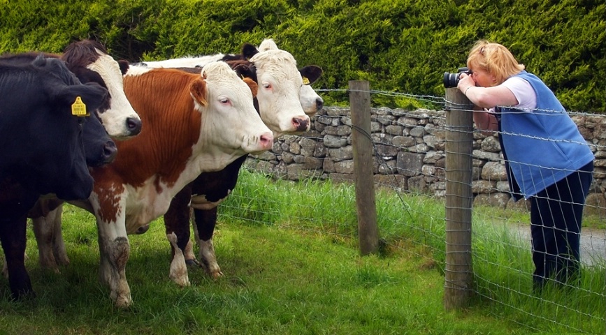 Ready for their close-ups!