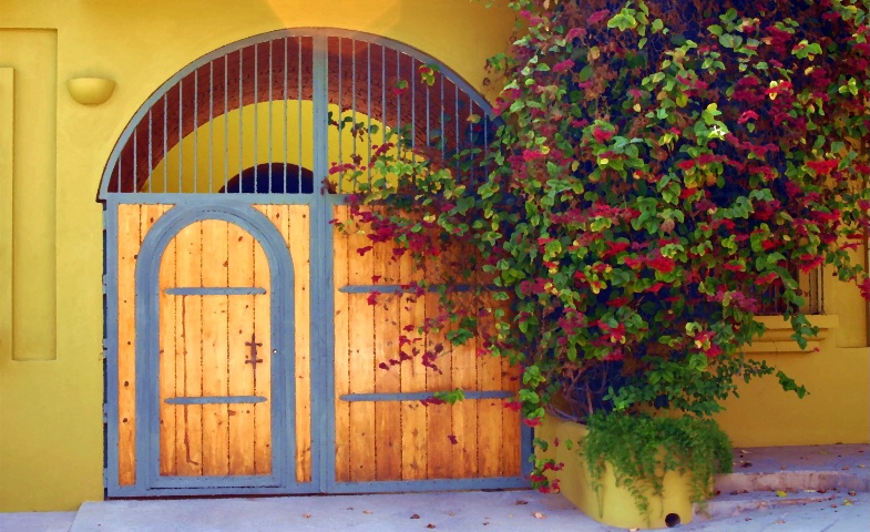 Doors.   Todos Santos, Mexico