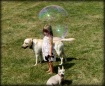 My Little Bubble ...