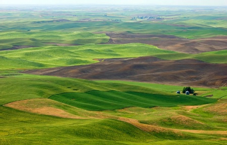 The Palouse