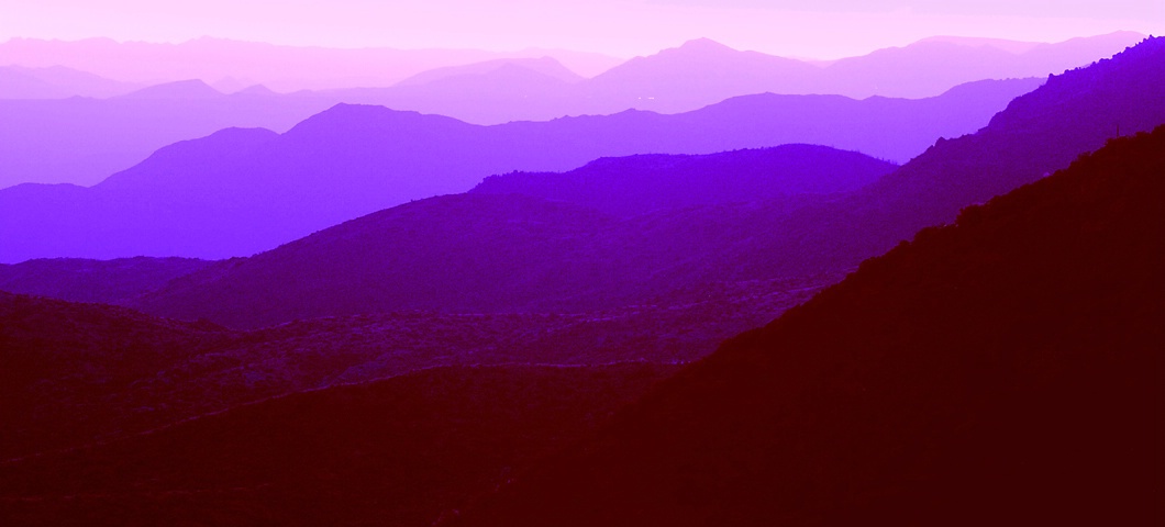 Purple Haze