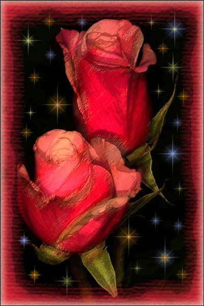 Rosebuds In The Stars 