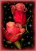 Rosebuds In The S...