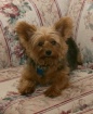 Jake