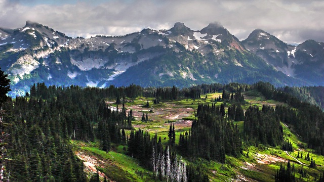 Easterly View from Loop Trail Mt. Rainier N.P. - ID: 4357717 © John E. Hunter