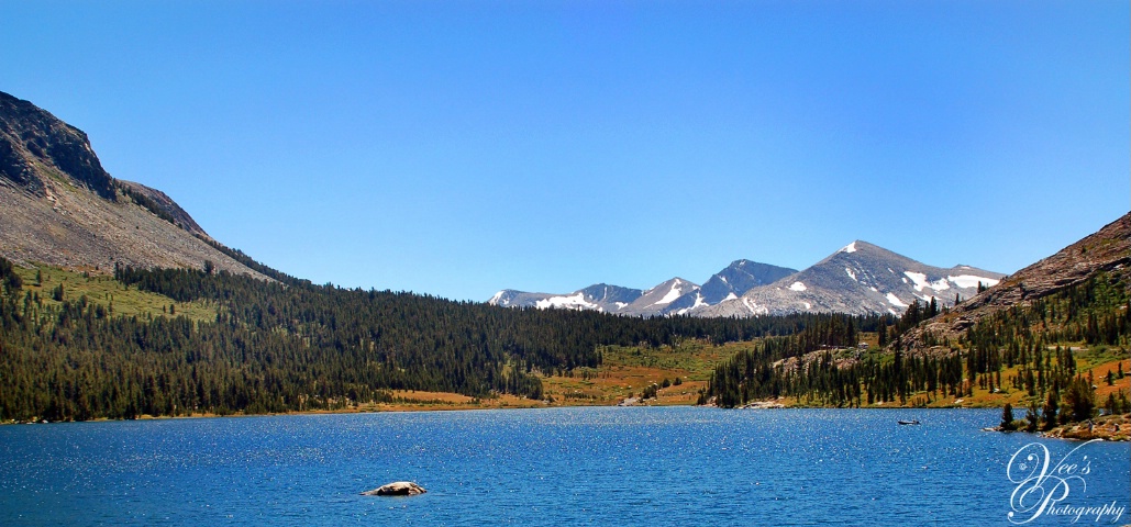 Lake Near Tioga Pass