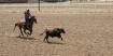 The Chase
