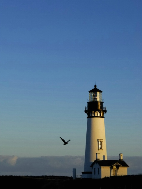 Yaquina Lighthouse at sunrise
