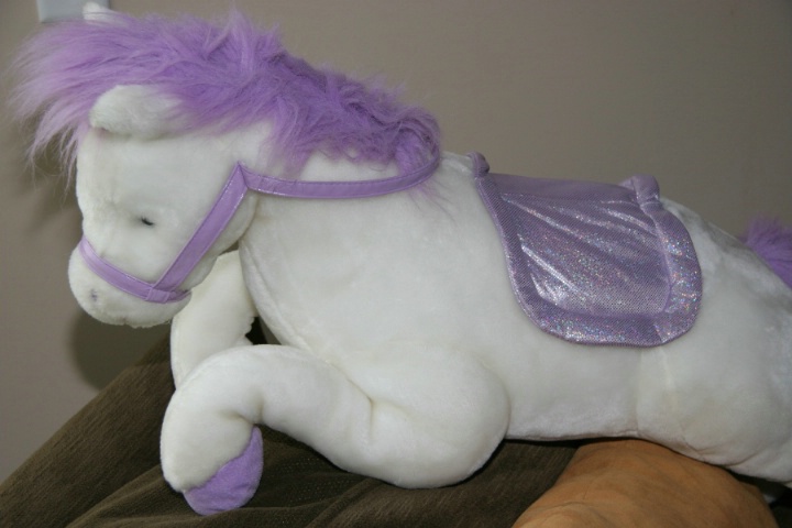  My daughters stuffed horse