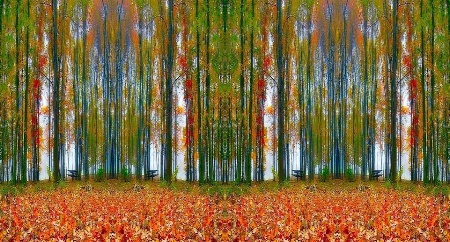 Autumn Park