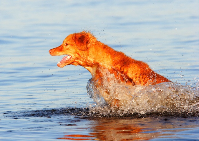 Full out water retrieve