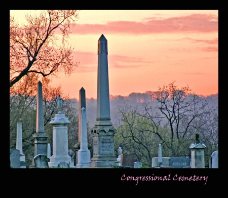 congressional cemetery