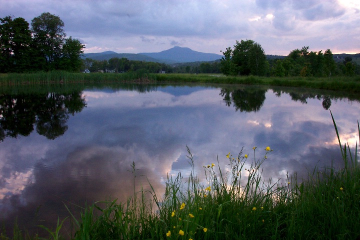 Vermont pond..