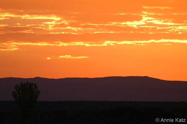 Desert Sunset - ID: 4383324 © Annie Katz