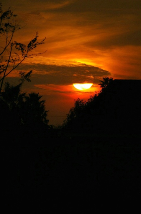 Suburban Sunset - ID: 4384187 © Lisa Ann Cyphers