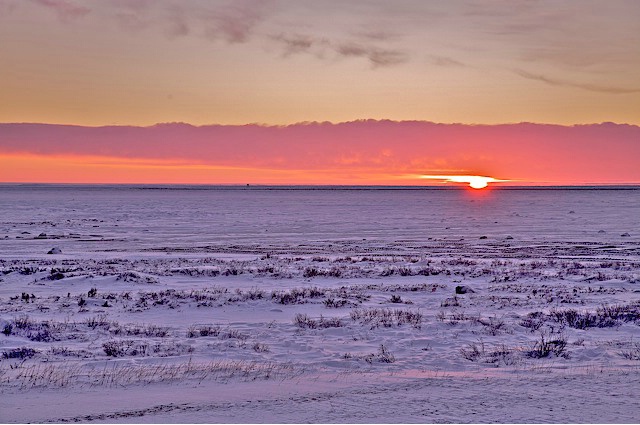 Sunset on the desolate tundra - ID: 4384197 © Emile Abbott