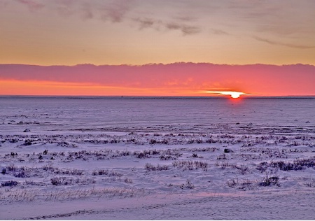 Sunset on the desolate tundra