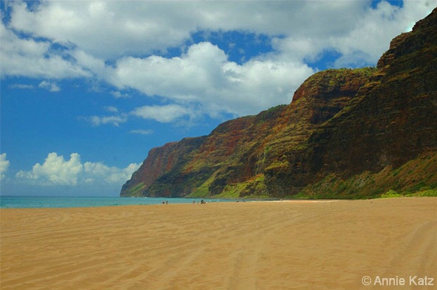 Barking Sands Beach - ID: 4390408 © Annie Katz