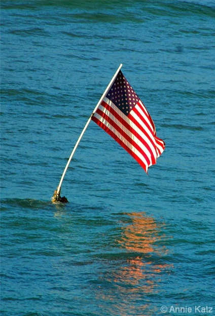 USA Flag - ID: 4390454 © Annie Katz