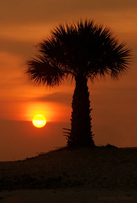 Florida Sunset - ID: 4391069 © Sherry Karr Adkins