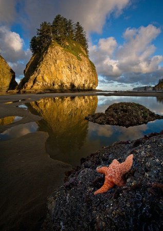 Second Beach Reflections