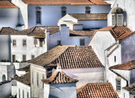 Clay Tile Medieval Roof Tops of Obidos