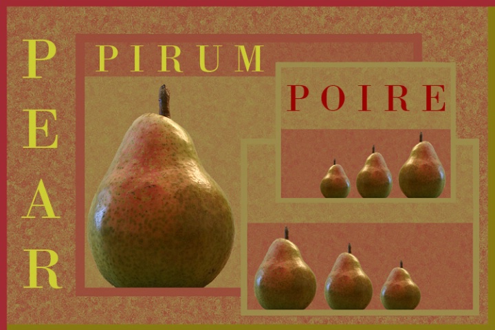 Pear