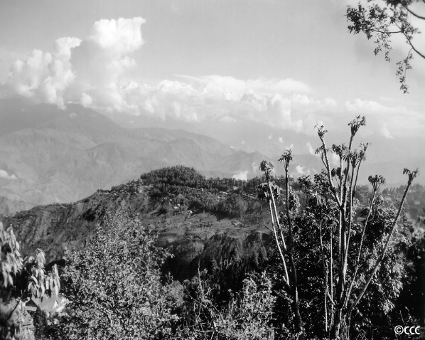 Mountainscape - ID: 4404071 © Candice C. Calhoun