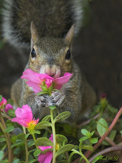 Take Time To Stop And Smell The Flowers 
