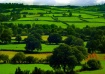 Welsh Hills II