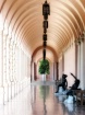 Arched Walk