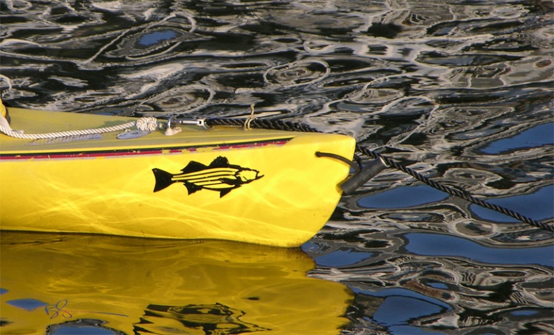 ~Yellow boat~
