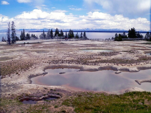 West thumb geyser basin area, Yellowstone, WY