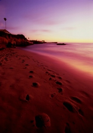La Jolla Cove footprints