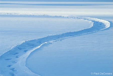 Snow Heart