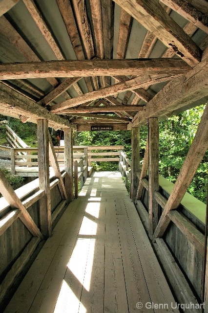 Inside the Sentinel Pine Bridge