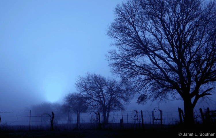 Misty Blue Morning