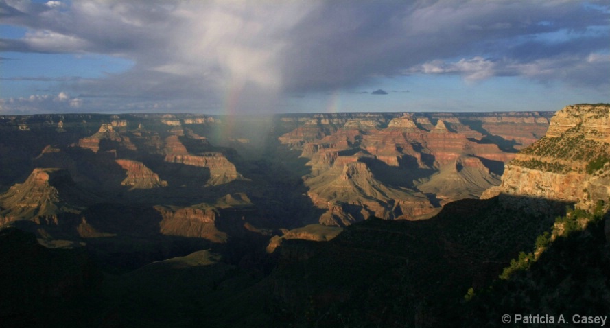 Double Bow - ID: 4454489 © Patricia A. Casey