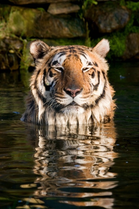 Bath time 