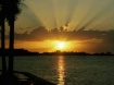 Rays reaching upw...