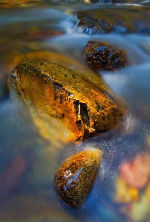 Sunbathing Rocks