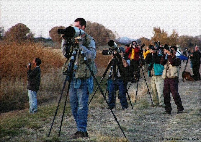 A Flock of Photographers