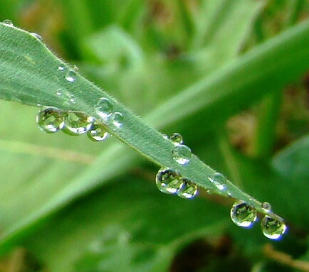 teeny tiny raindrops