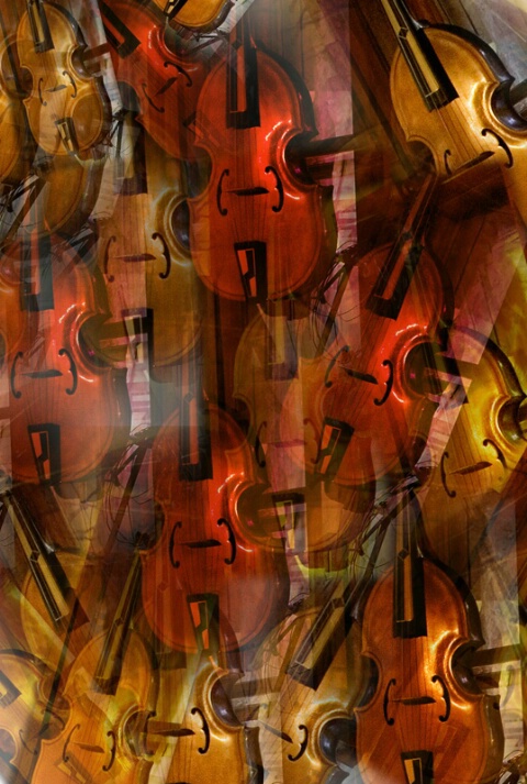 Violins for Braque